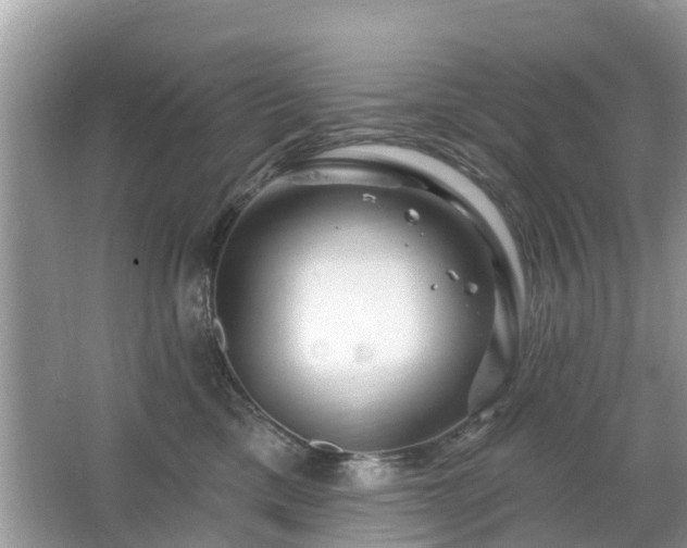 X0000063450425200601231357