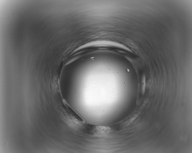 X0000063450429200601231357