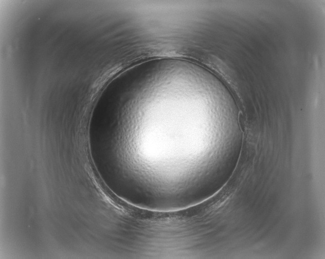 X0000063450433200601231356