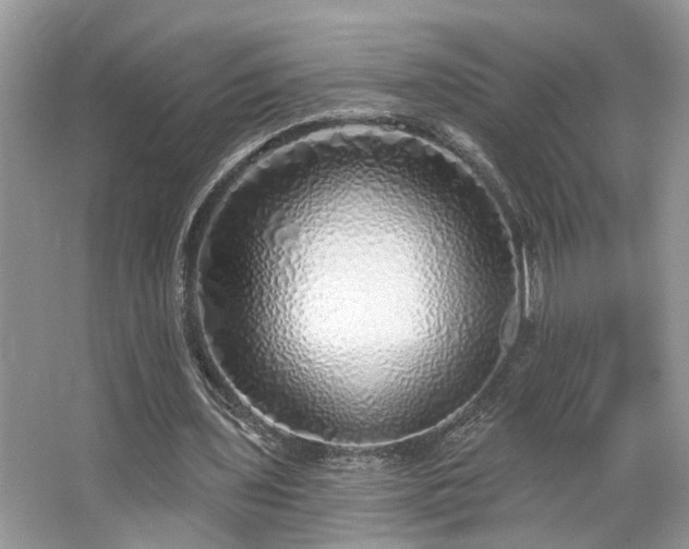 X0000063450435200601231356