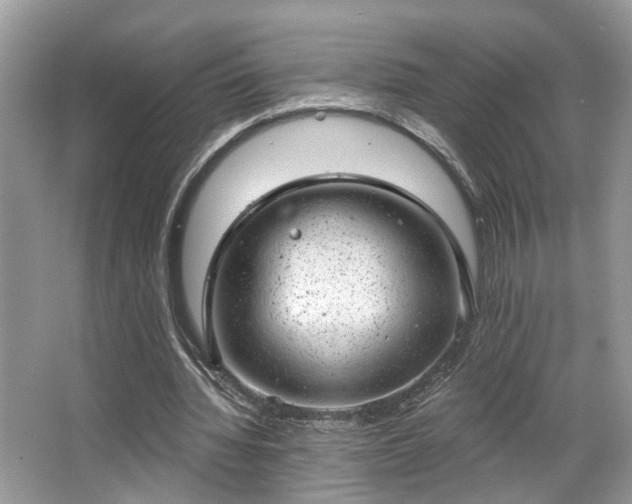 X0000063450436200601231356