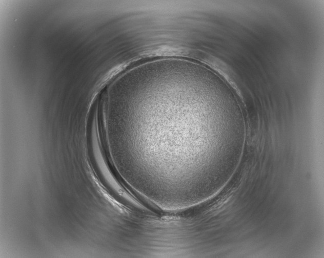 X0000063450437200601231356