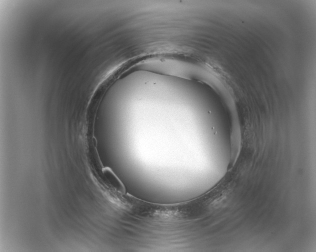 X0000063450440200601231356