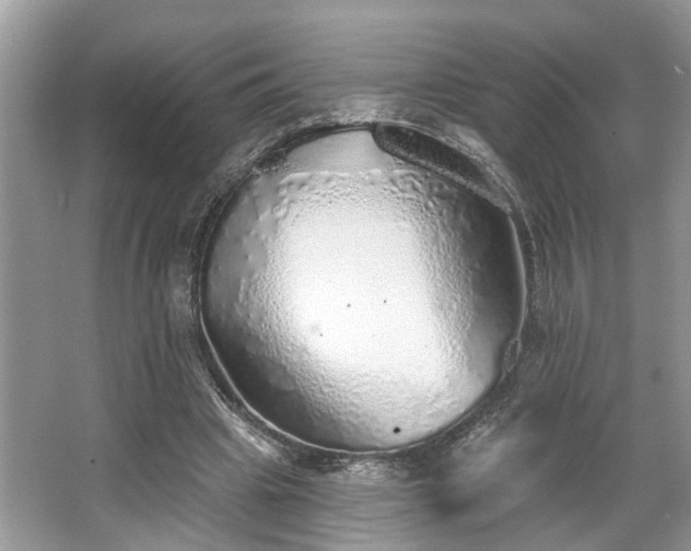 X0000063450441200601231356