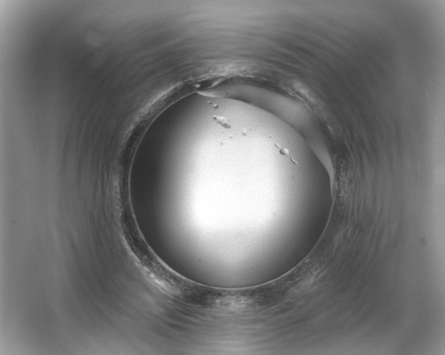 X0000063450444200601231356