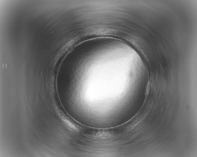 X0000063450445200601231356