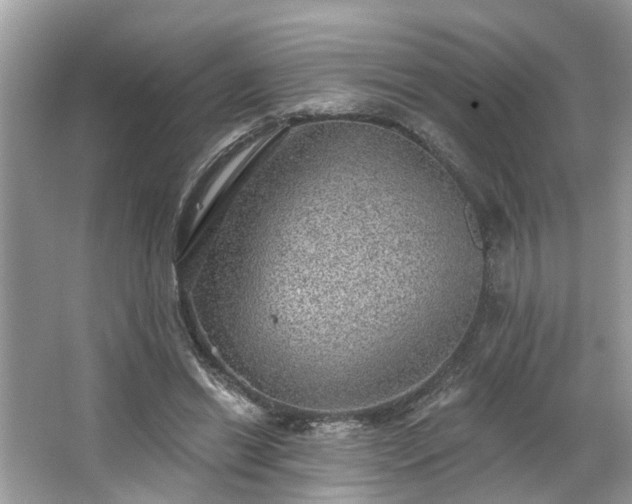 X0000063450446200601231356