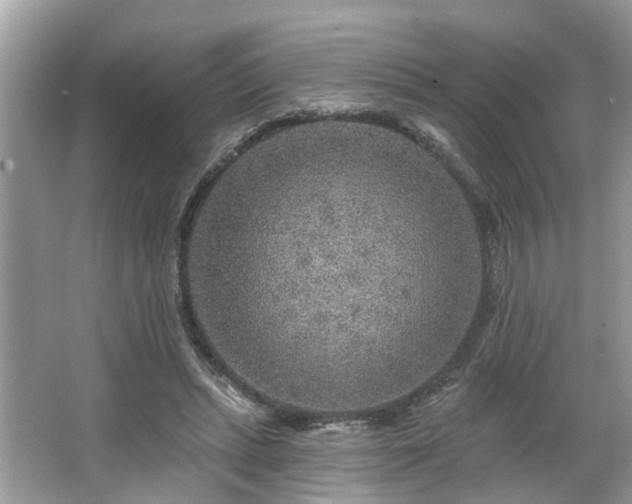 X0000063450447200601231356