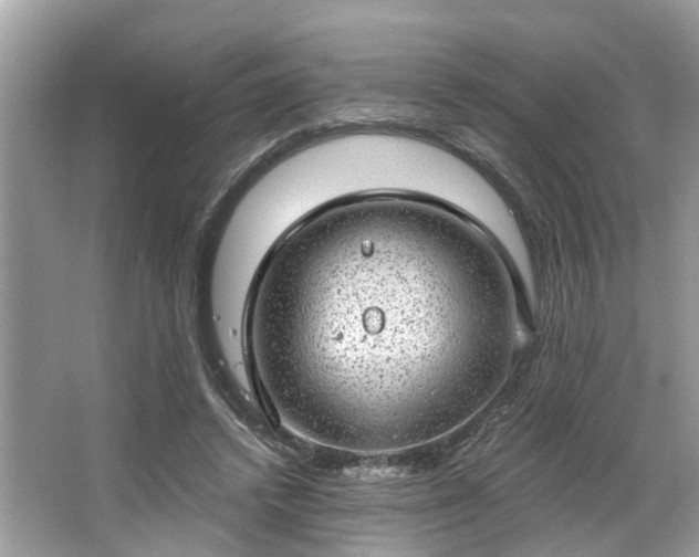 X0000063450448200601231356