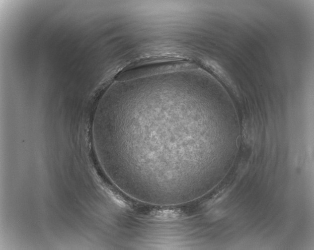 X0000063450449200601231356