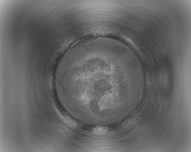 X0000063450451200601231356