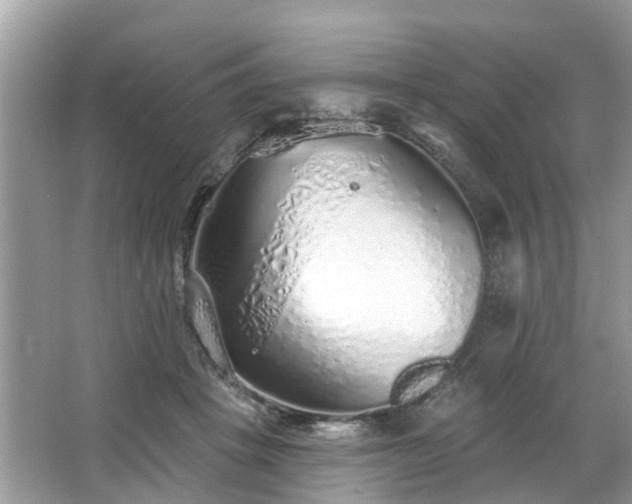 X0000063450457200601231356