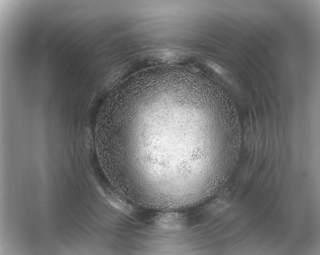 X0000063450459200601231356