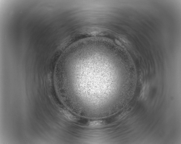 X0000063450461200601231356