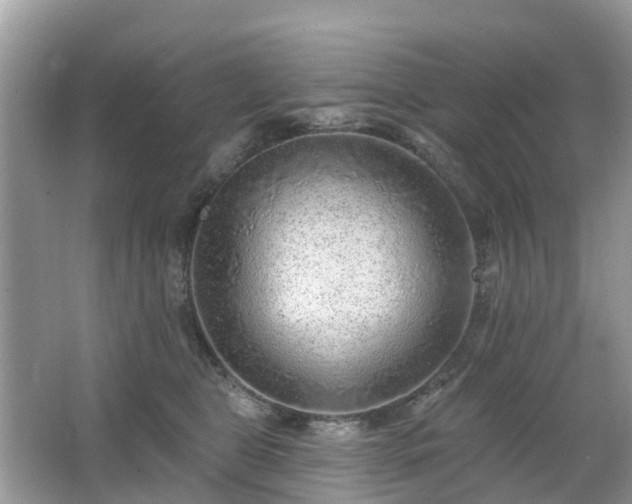 X0000063450469200601231356