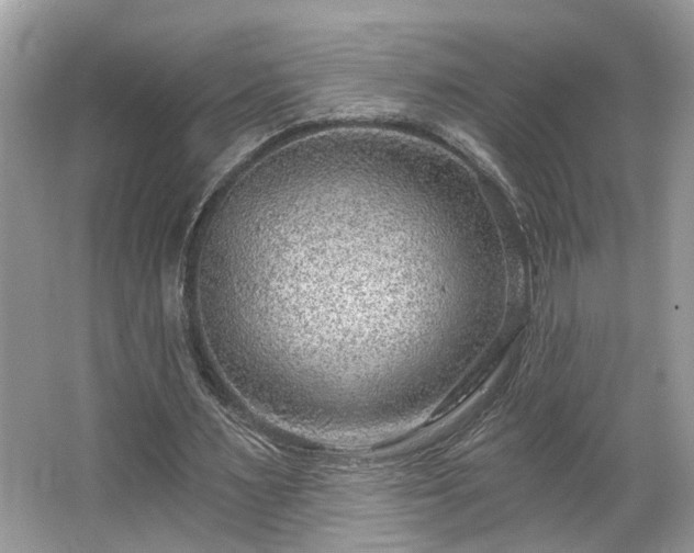 X0000063450483200601231356