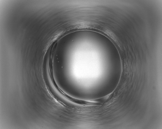 X0000063450485200601231356