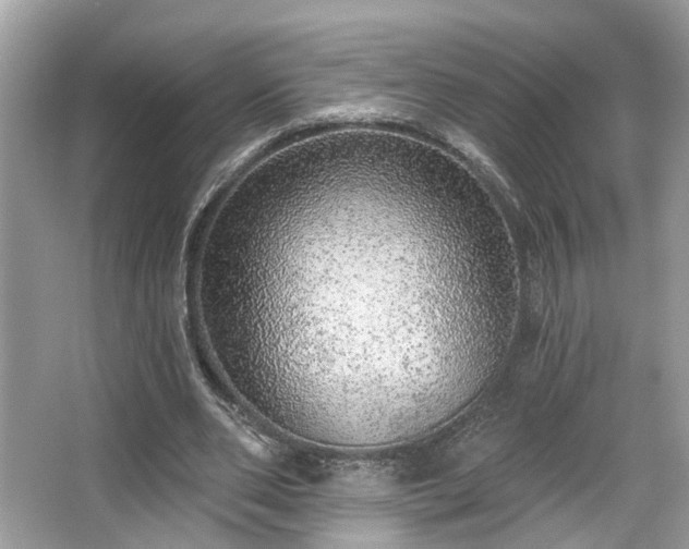 X0000063450486200601231356