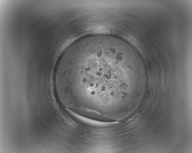 X0000063450487200601231356