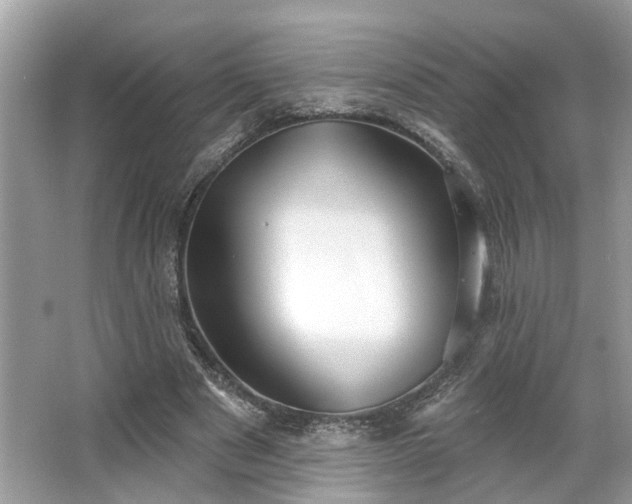 X0000063450489200601231356