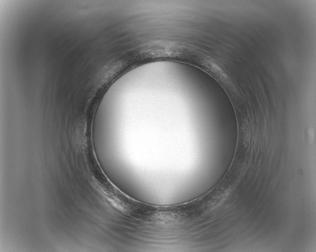 X0000063450490200601231356