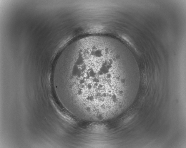 X0000063450491200601231356