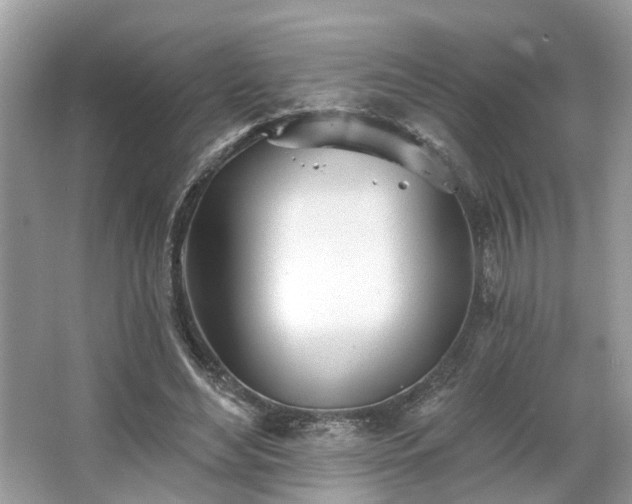 X0000063450492200601231356