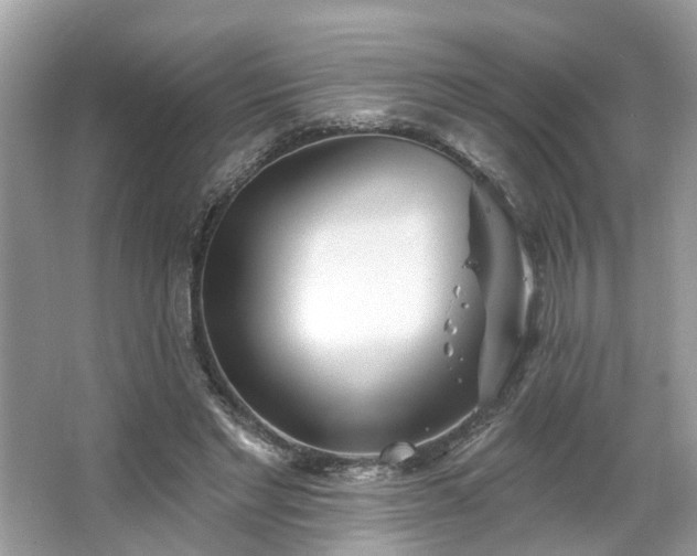 X0000063450493200601231356