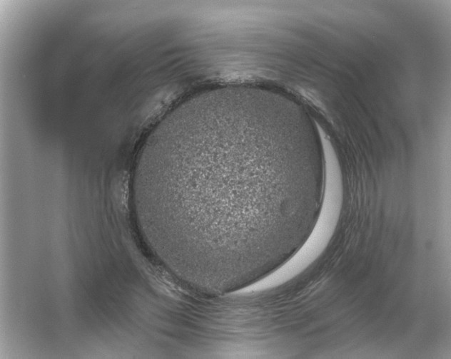 X0000063450495200601231356