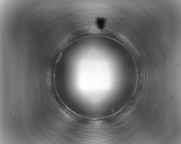 X0000063450497200601231356