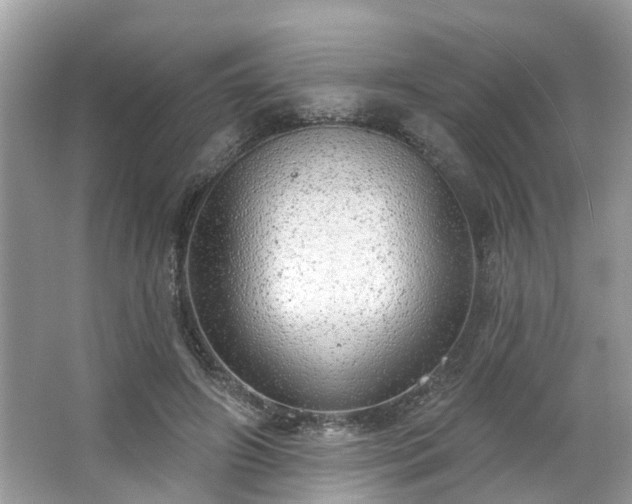 X0000063450498200601231356