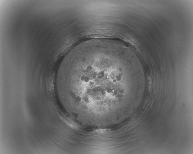 X0000063450499200601231356