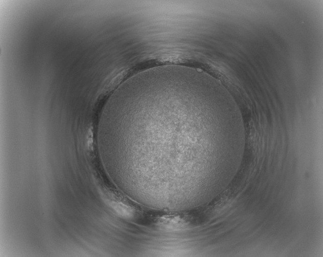 X0000063450502200601231356