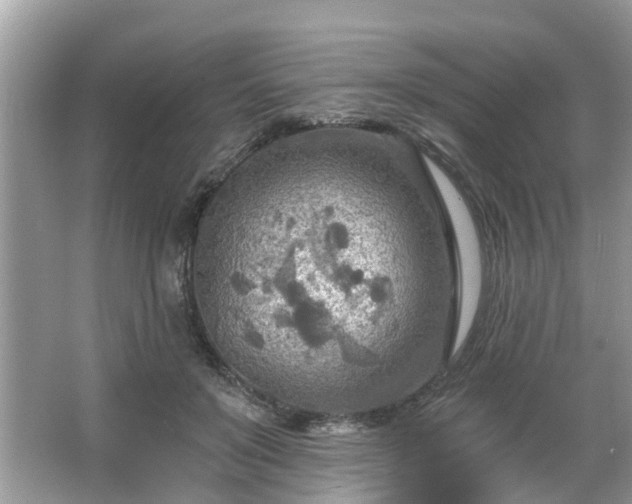 X0000063450503200601231355