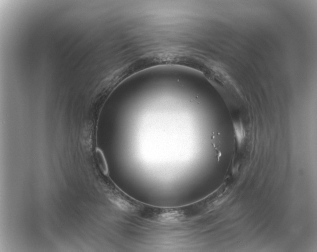 X0000063450505200601231355