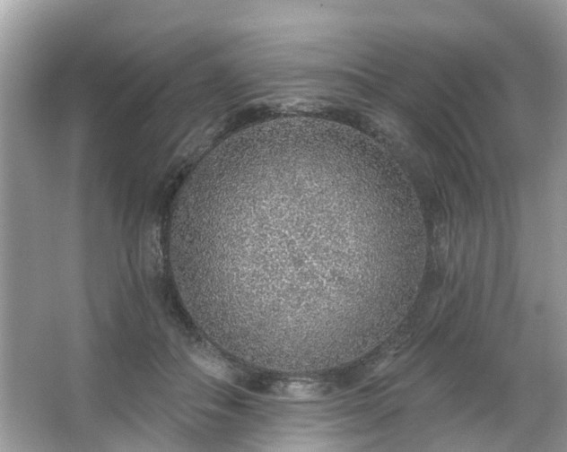 X0000063450506200601231355