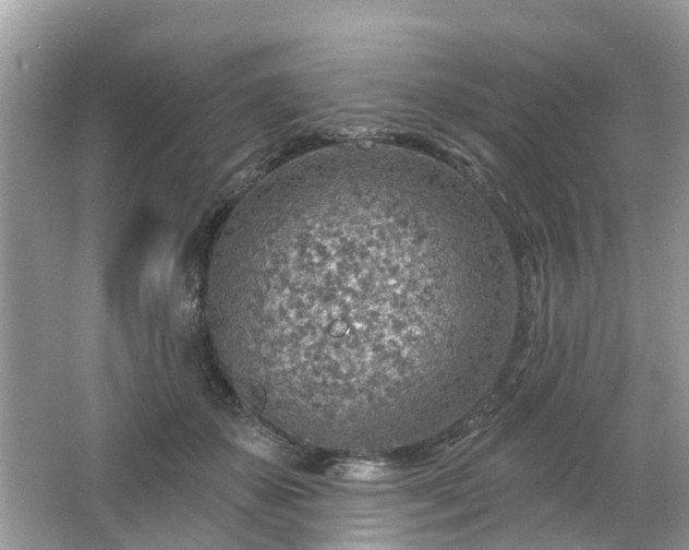 X0000063450507200601231355