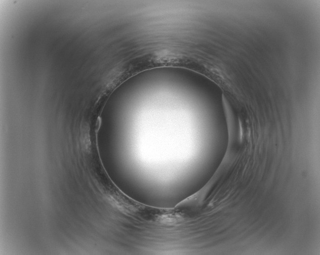 X0000063450508200601231355