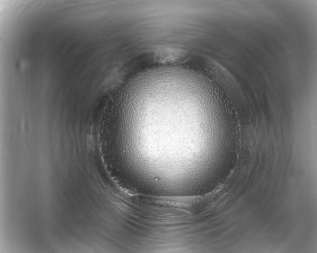 X0000063450510200601231355