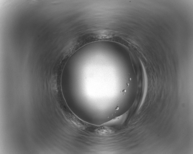 X0000063450512200601231355