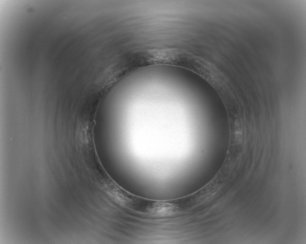 X0000063450514200601231355