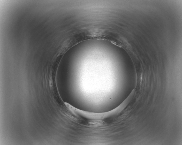 X0000063450516200601231355