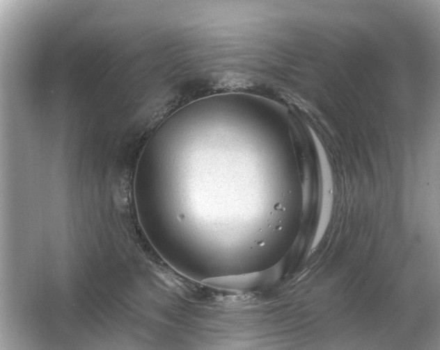 X0000063450517200601231355