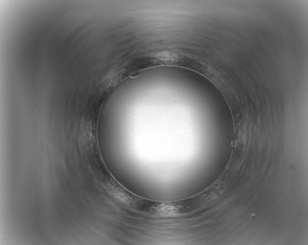 X0000063450518200601231355