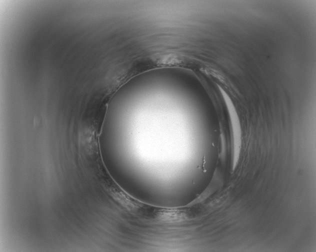 X0000063450521200601231355