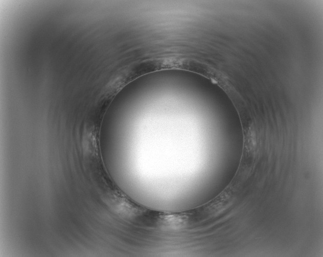 X0000063450522200601231355