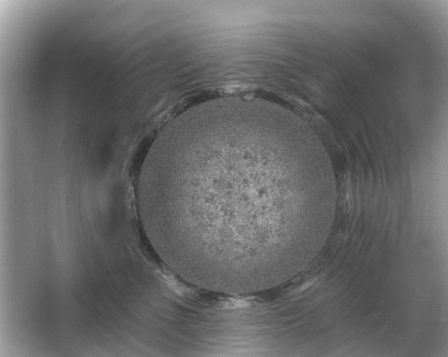 X0000063450523200601231355