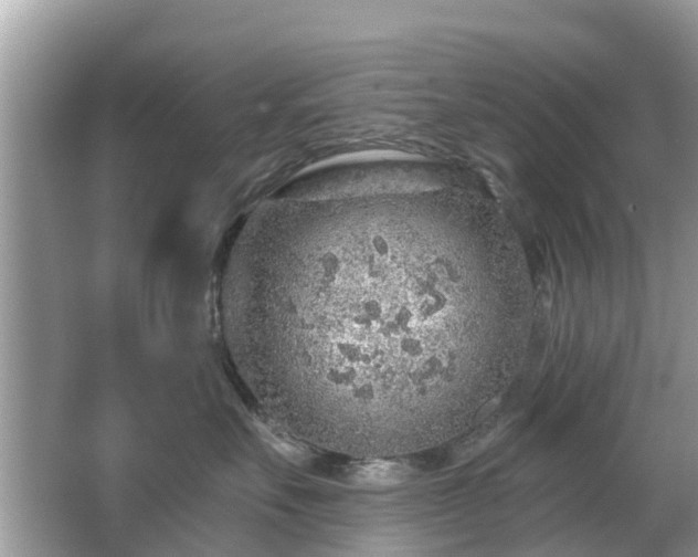 X0000063450527200601231355