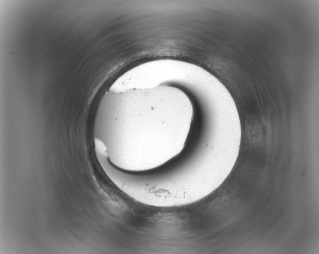 X0000063450534200601231354