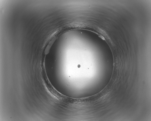 X0000063450538200601231354